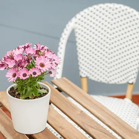 Apartment Casa De Liz Adino