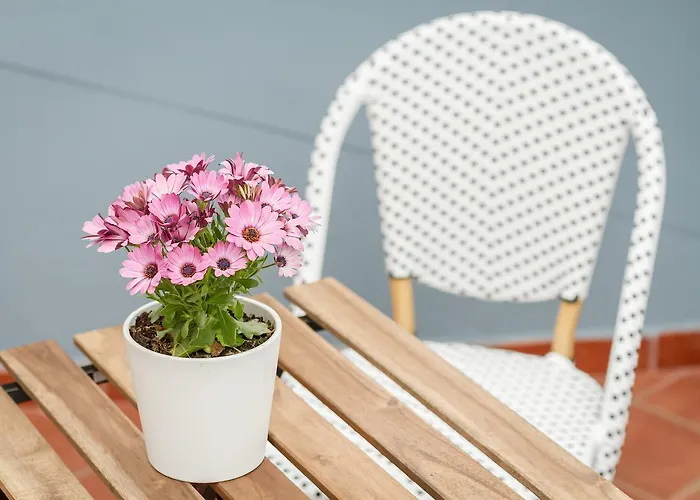 Apartment Casa De Liz Adino